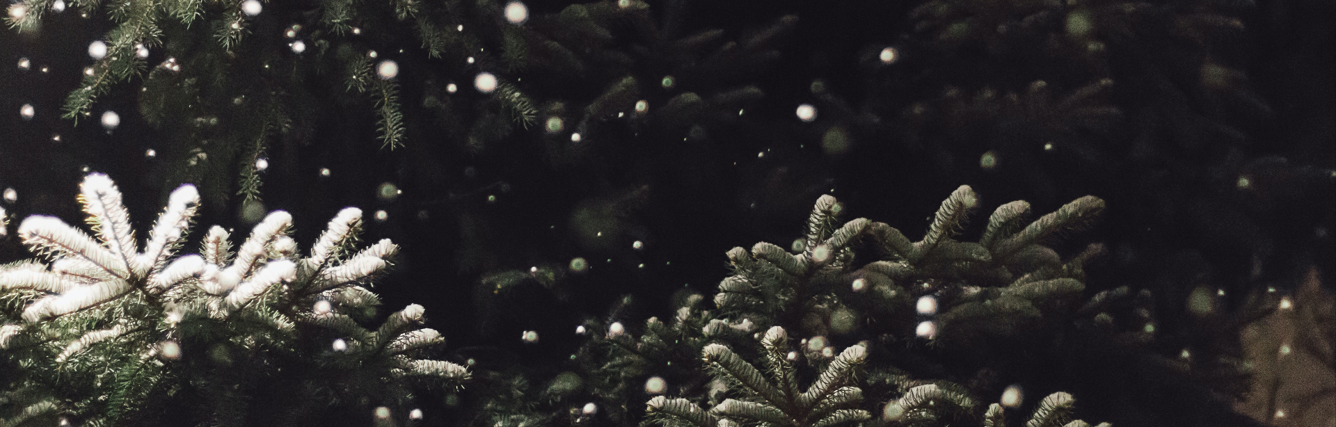 banner image